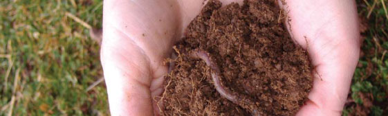 Soil health benchmarks and guidelines for managing problem soils