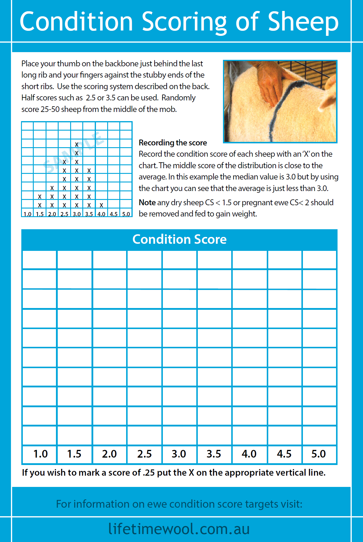 AWI Condition score card GD1178_SNIP_BACK.png