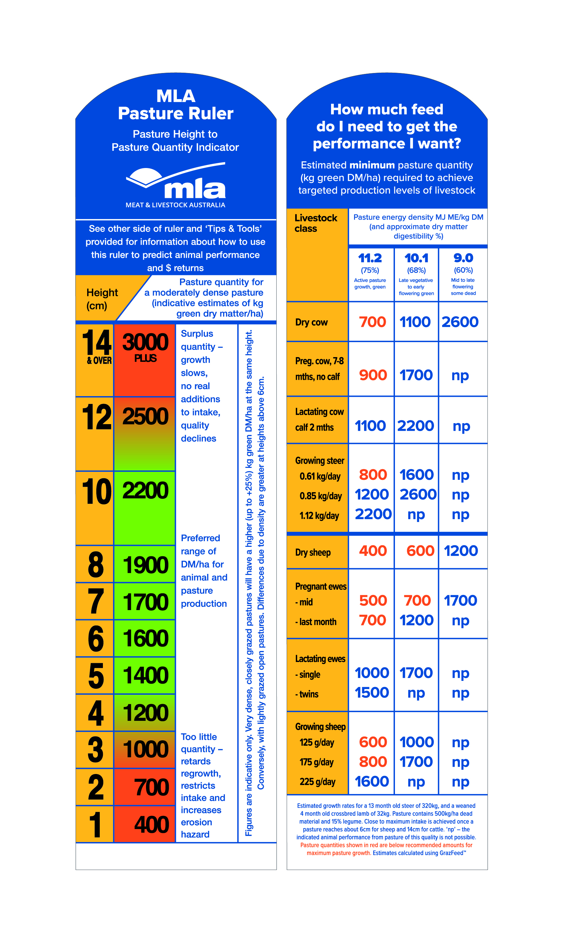 mmfs-pasture-ruler.jpg